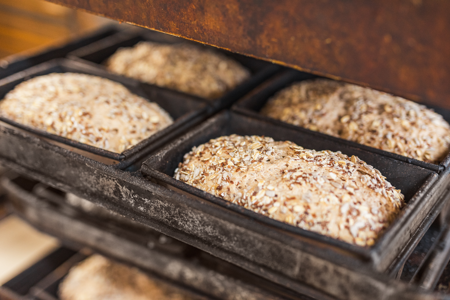 Frisches Kastenbrot, das bereit ist im Ofen der Bäckerei Müller gebacken zu werden