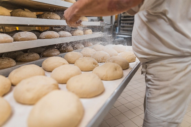 Nahaufnahme von den Händen eines Bäckers, der die Brotteiglinge mit feinem Mehl bestäubt, damit diese anschließen in die Gärkörbchen gelegt werden können.